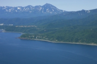 2009/オシンコシンの森空撮-0801.jpg